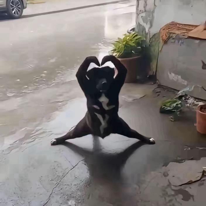 护你平安🕋