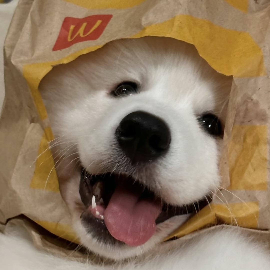 小仓