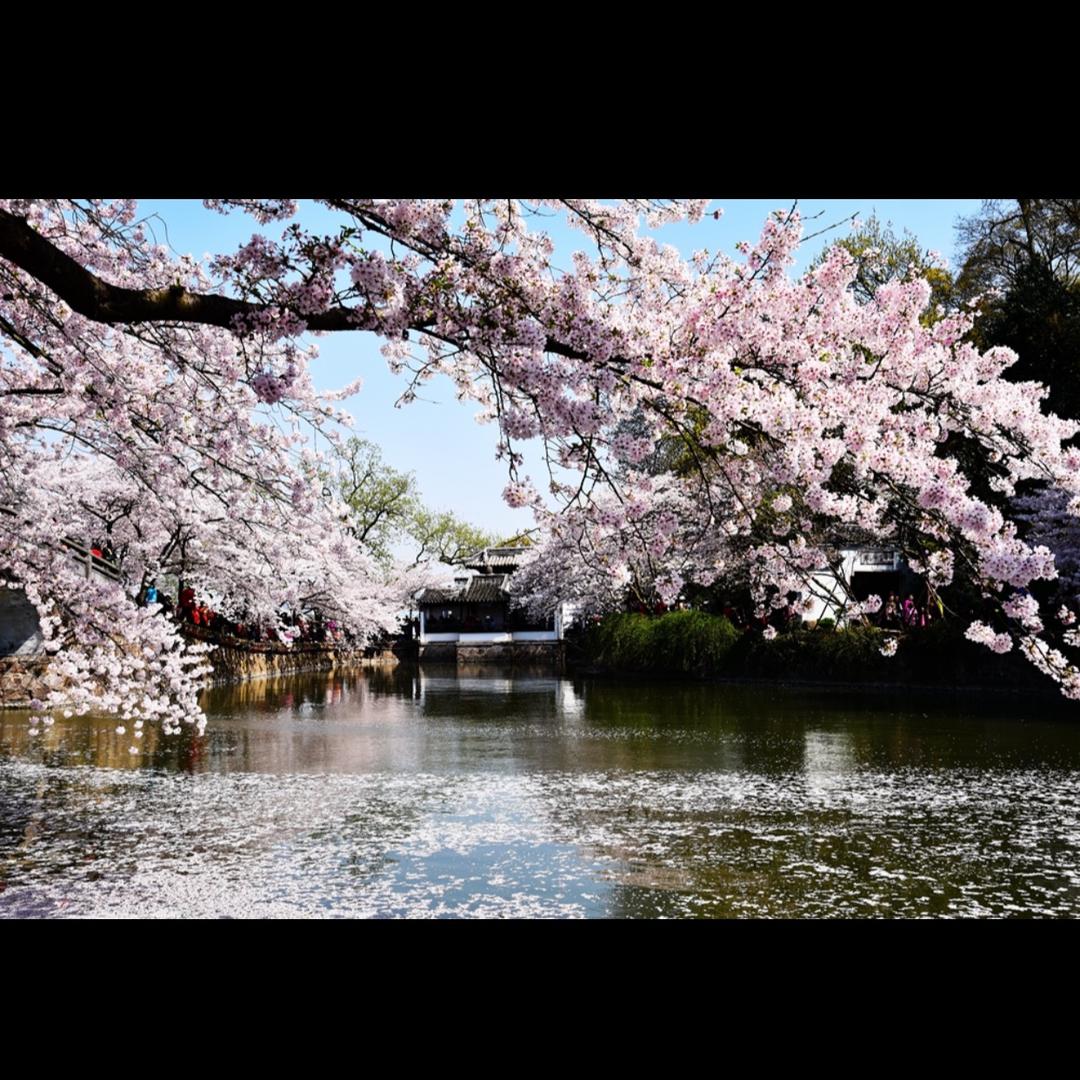 淞淞爱旅行