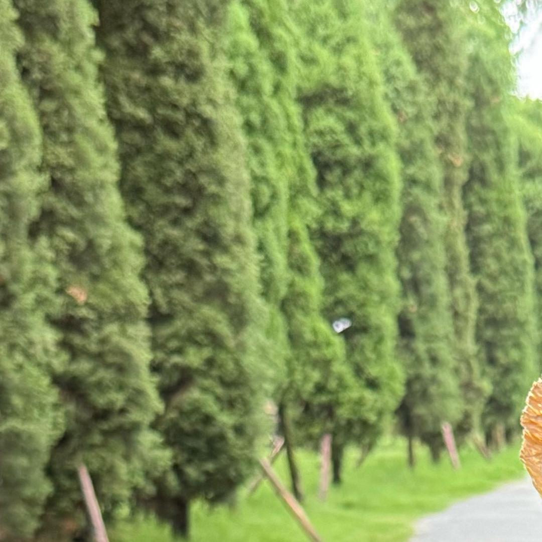 果园直通车