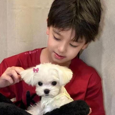 𝙃𝙪𝙞𝙞ᵒᵏ