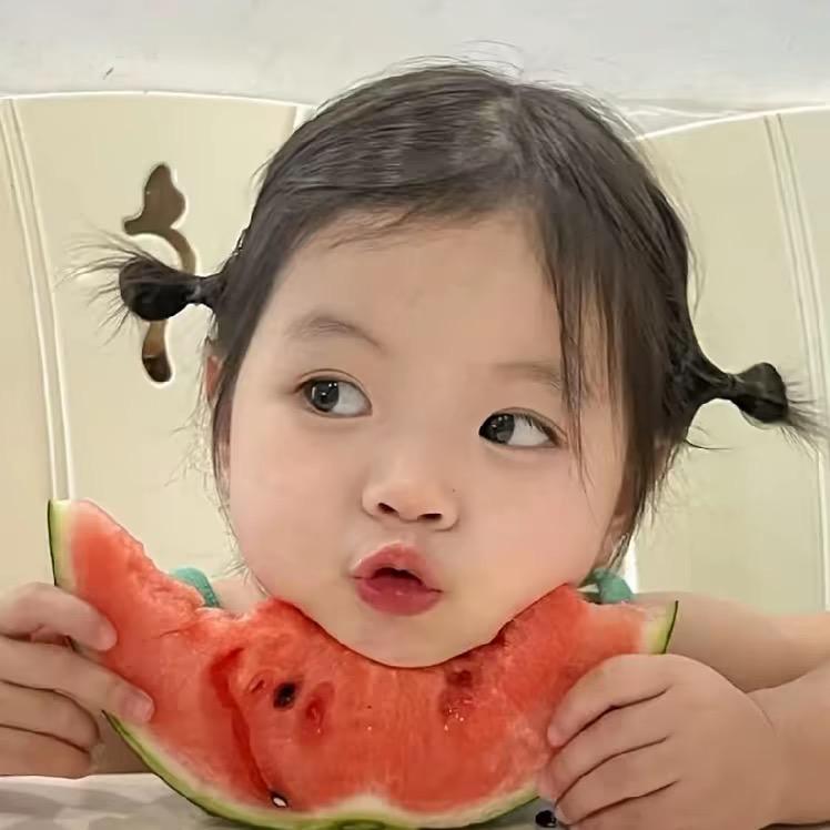 燕子🐛