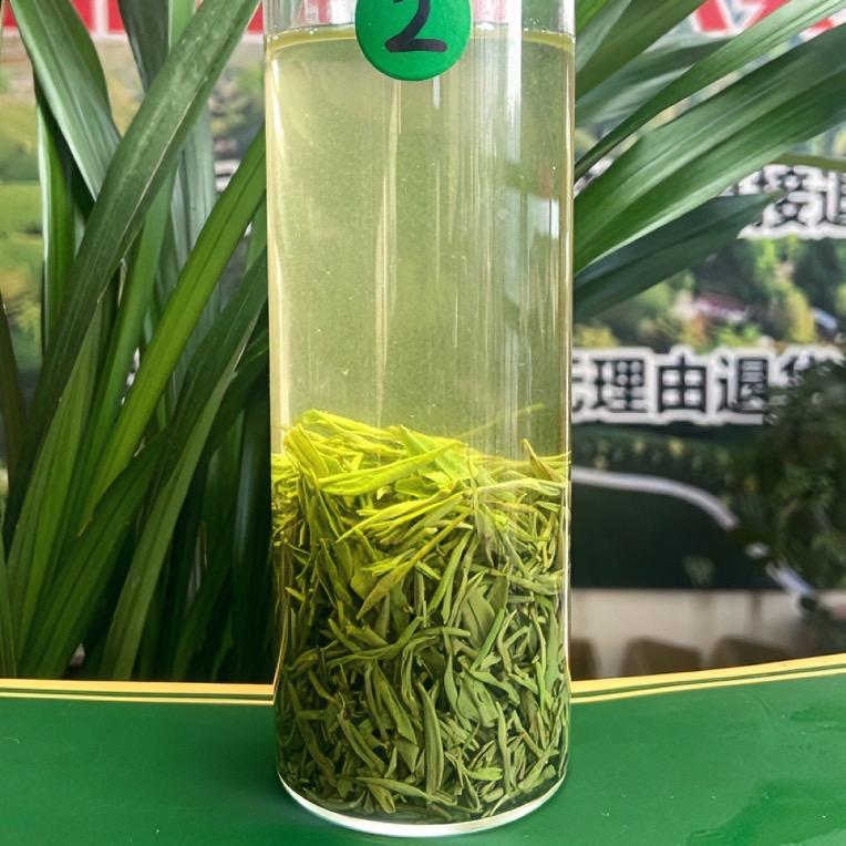 龙泉茶叶 信阳毛尖