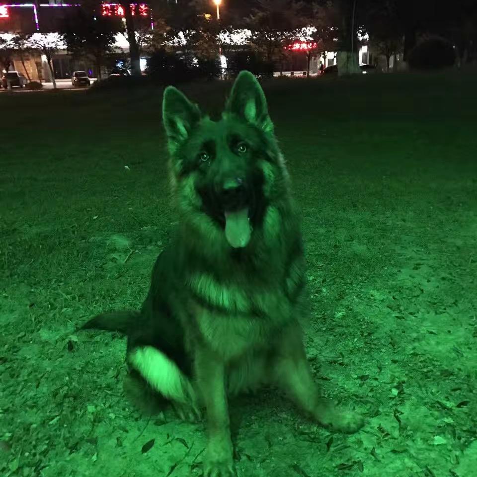 空军大师（毁灭吧）