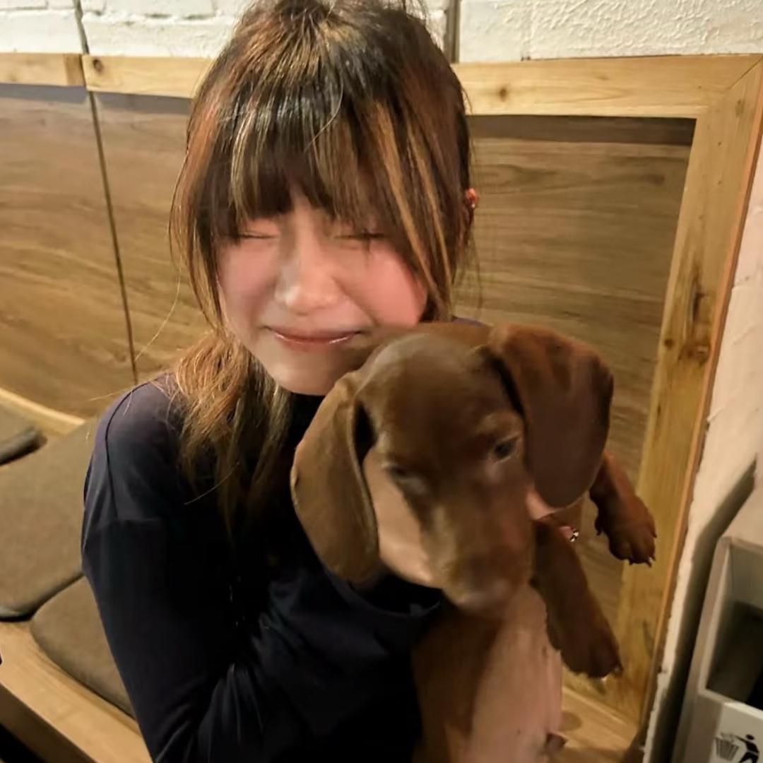 瑶1️⃣瑶૮˵>ㅿ<˵ა