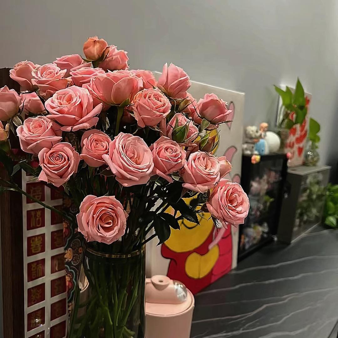 ঞᩚ坦.然꧔ꦿ᭄