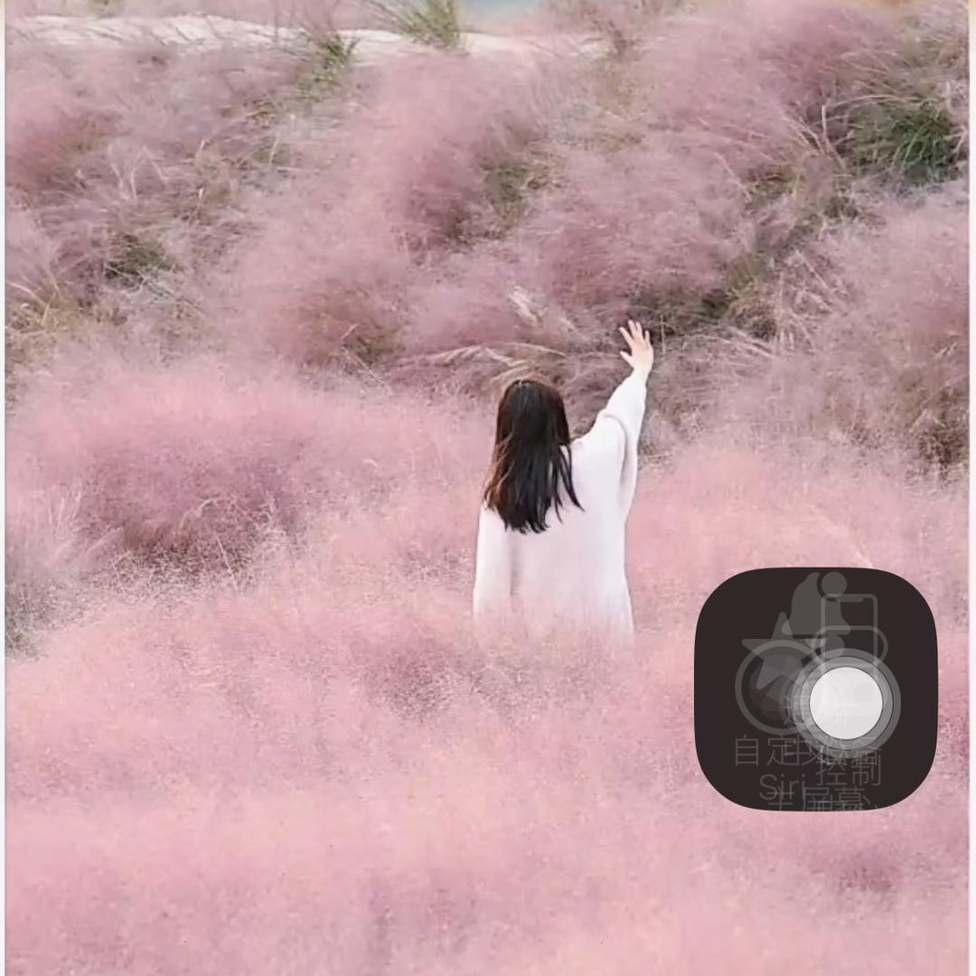 墨衣心语