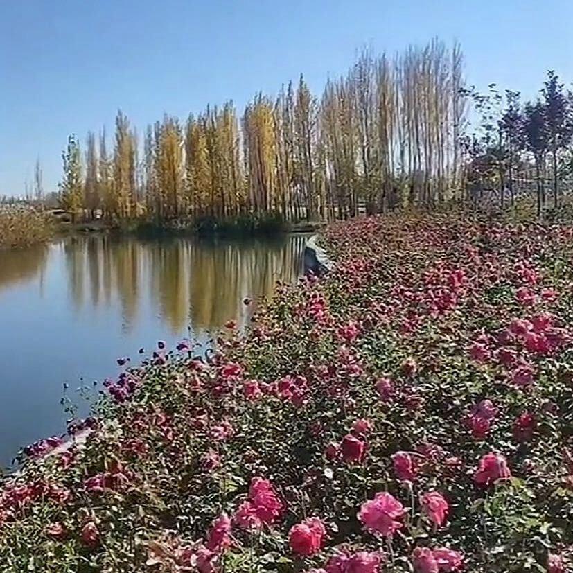 回心转意
