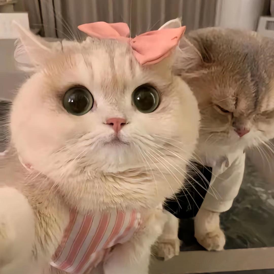 ——钞好运