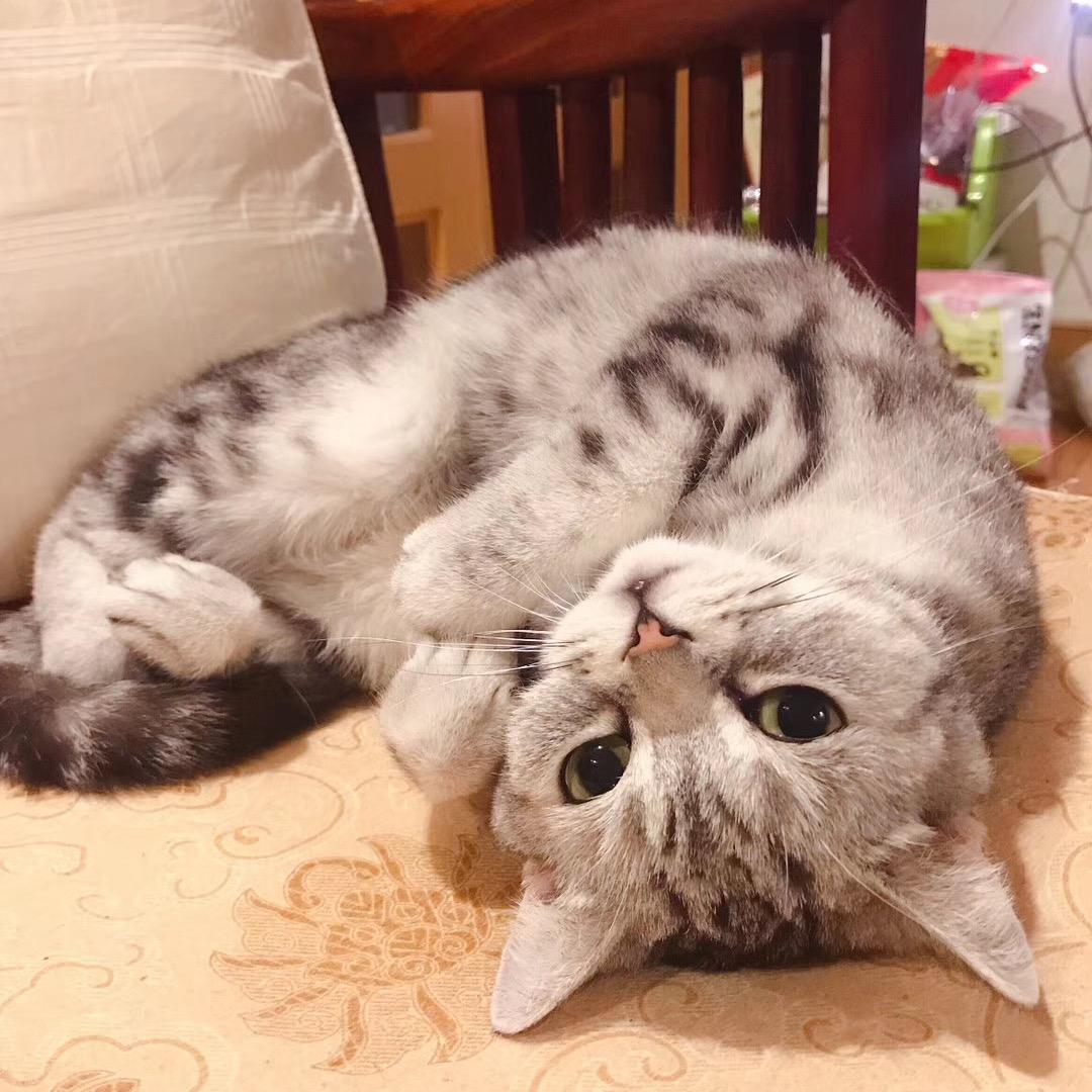 梅田