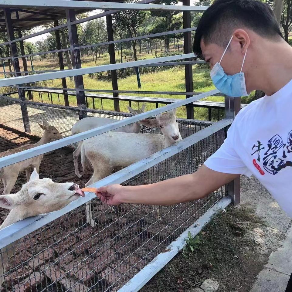 姜ཻ༗小白࿐