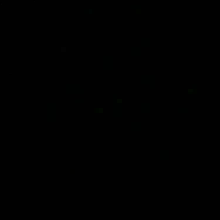 BLACKBAT