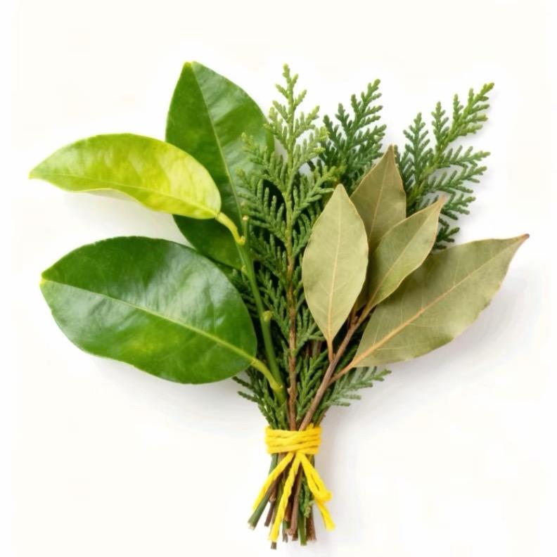 冰冰冰冰冰冰冰冰茶🧊