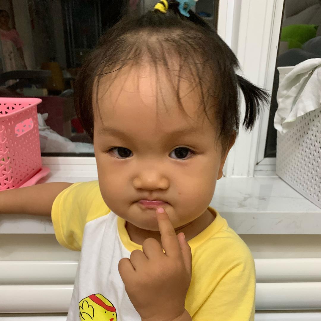 游荡的鱼