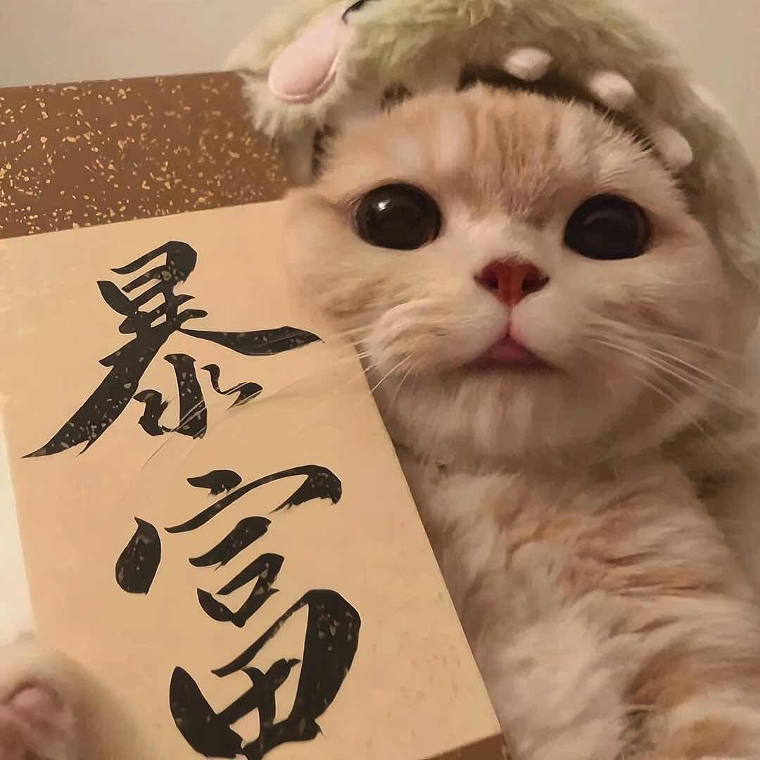 ⊕筱安
