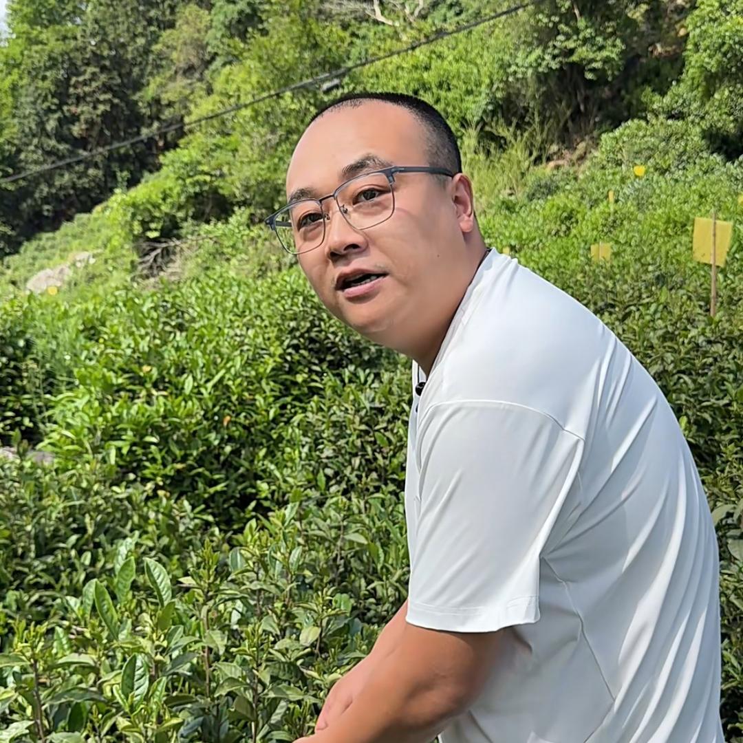 牛祁仕（胖哥的茶）