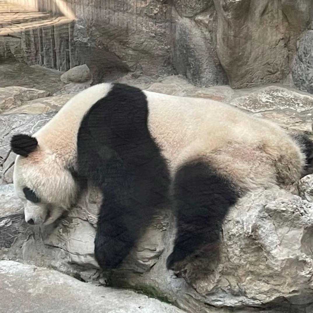 🌈米兜
