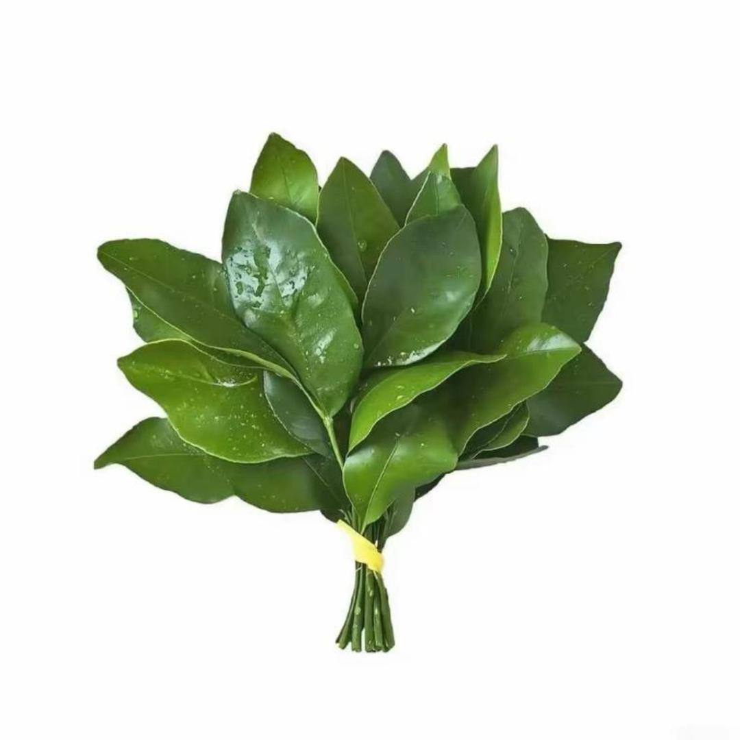 刘佳怡