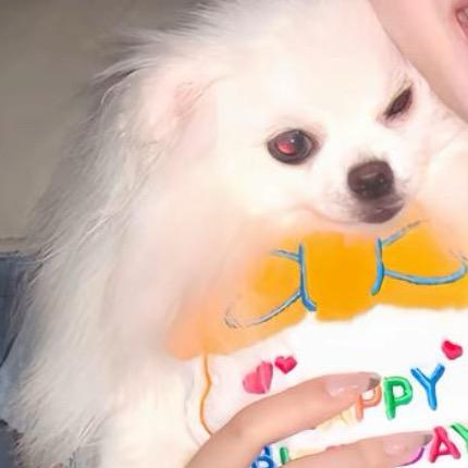 翻斗花园胡图图