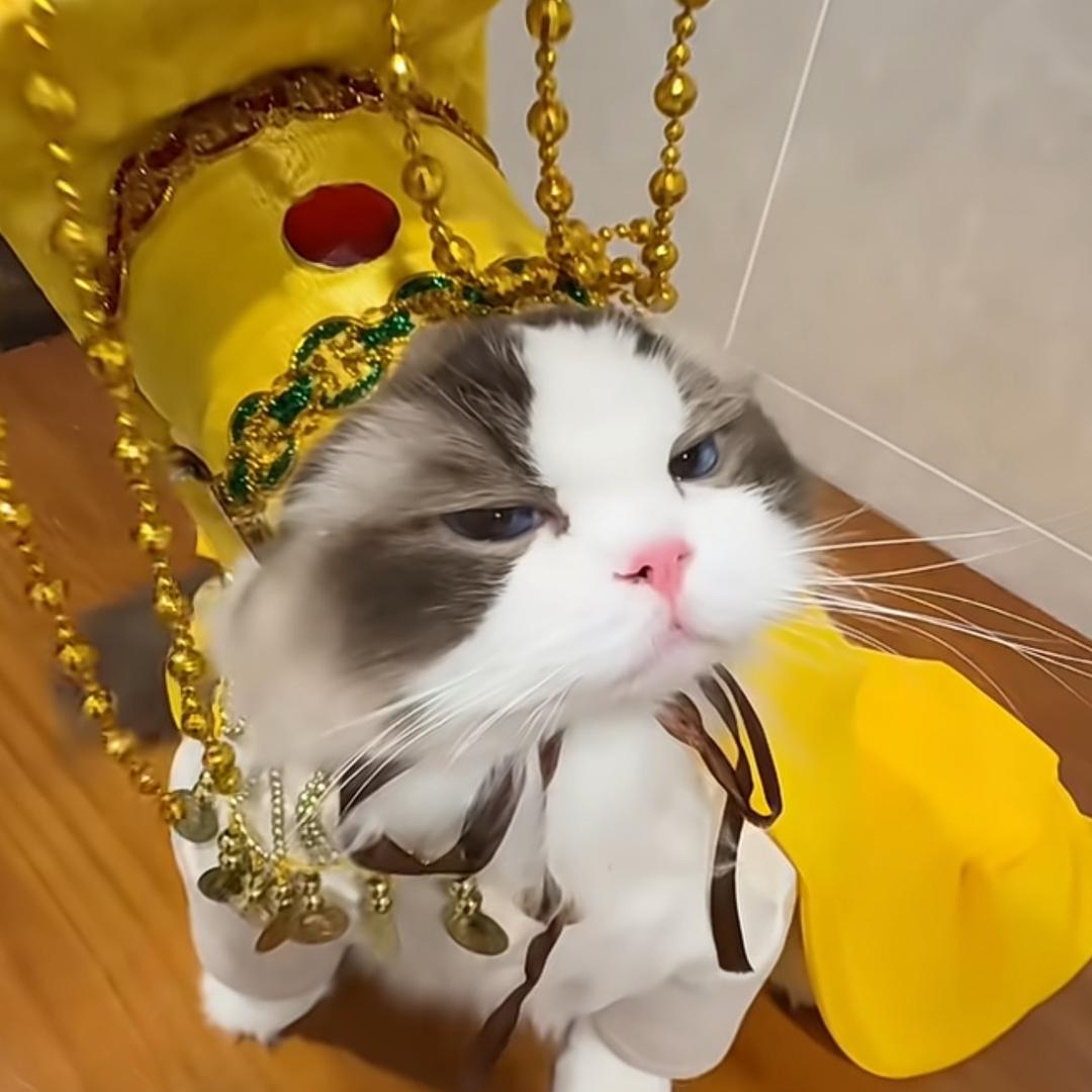 晓晓千