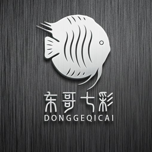 东哥七彩