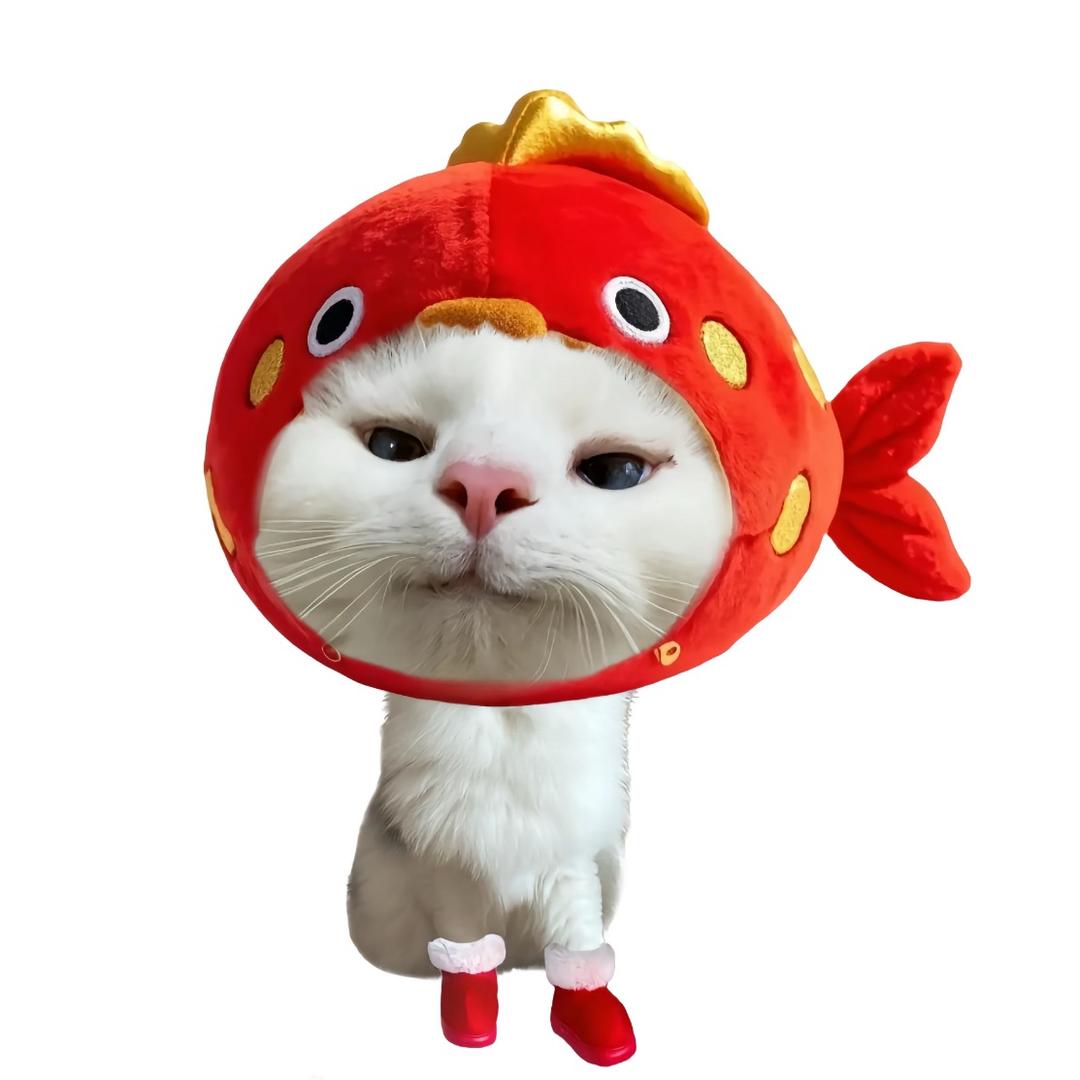小烤鱼