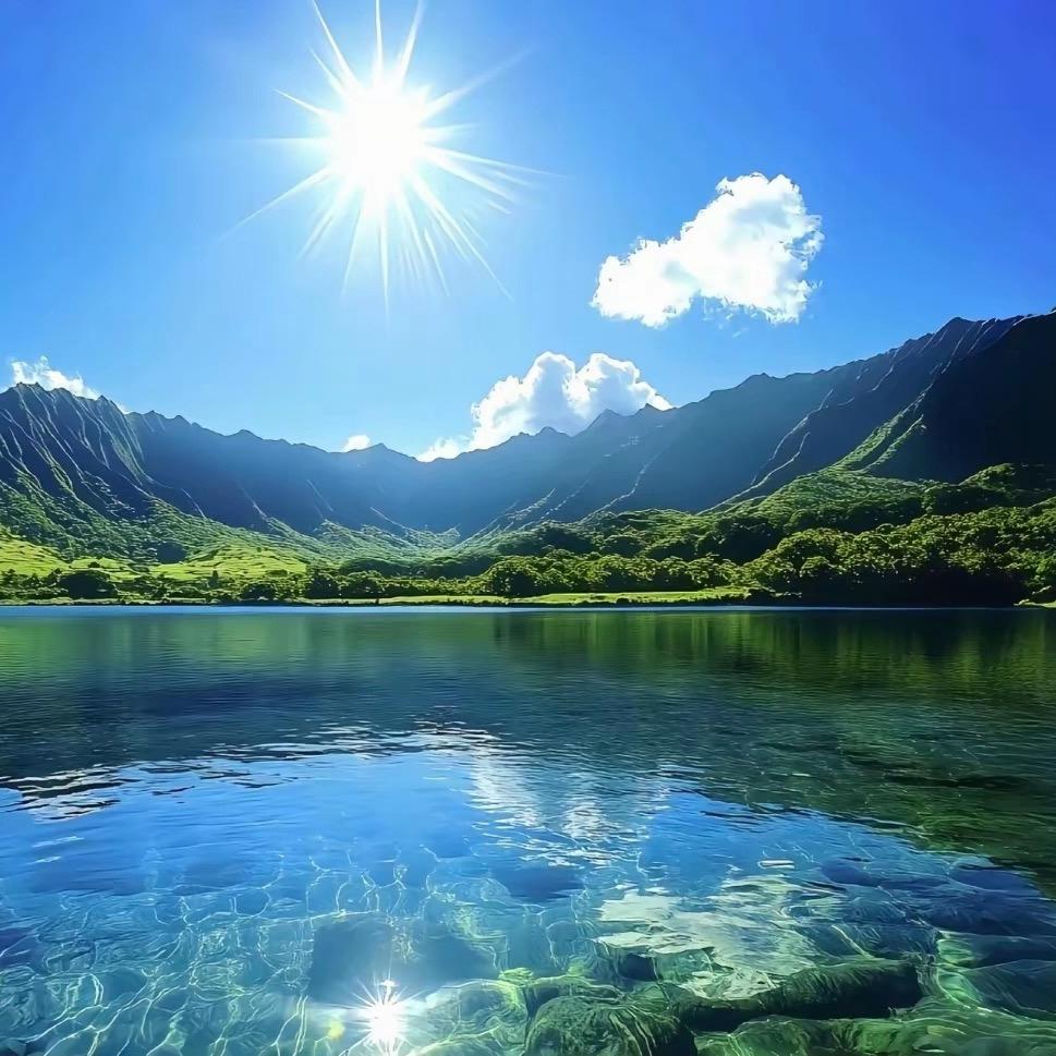 花花草草🍒🥦🥬