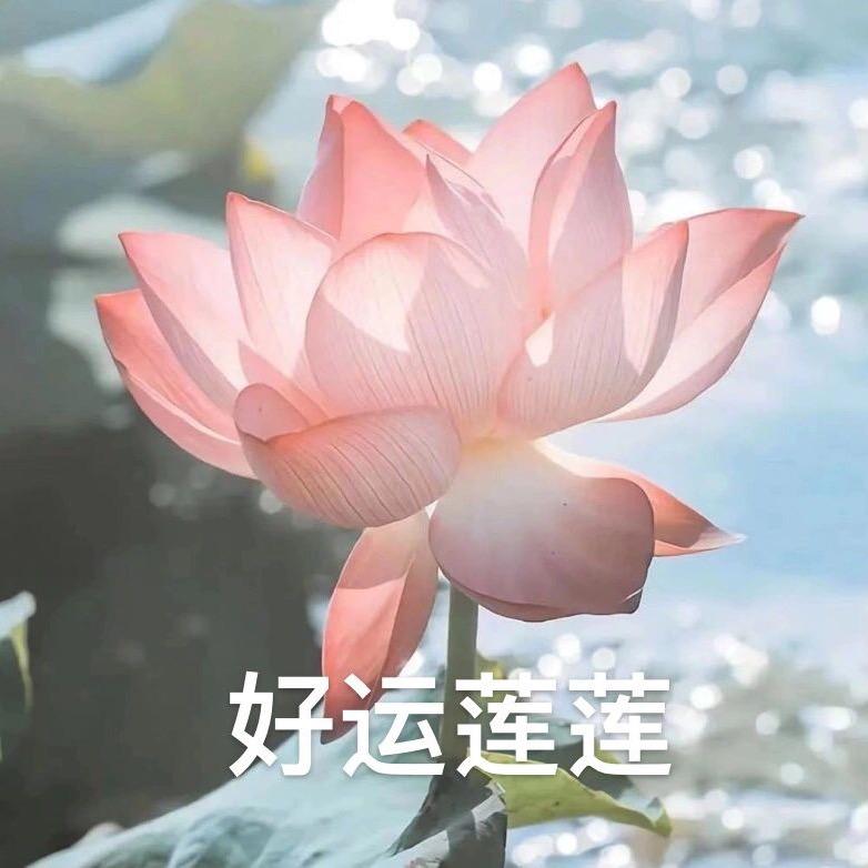不知名主播