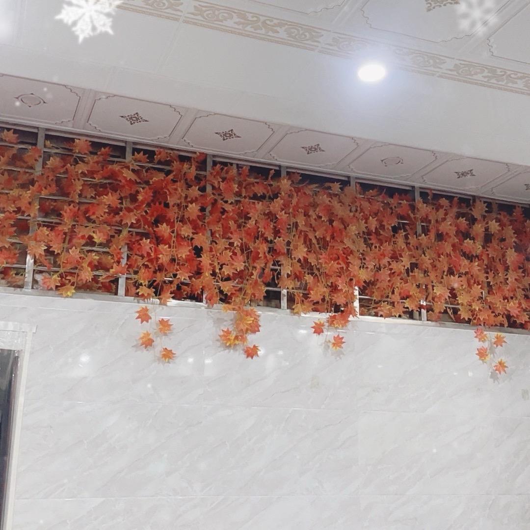 小凯精选