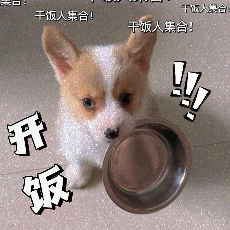 别给我哇哇叫