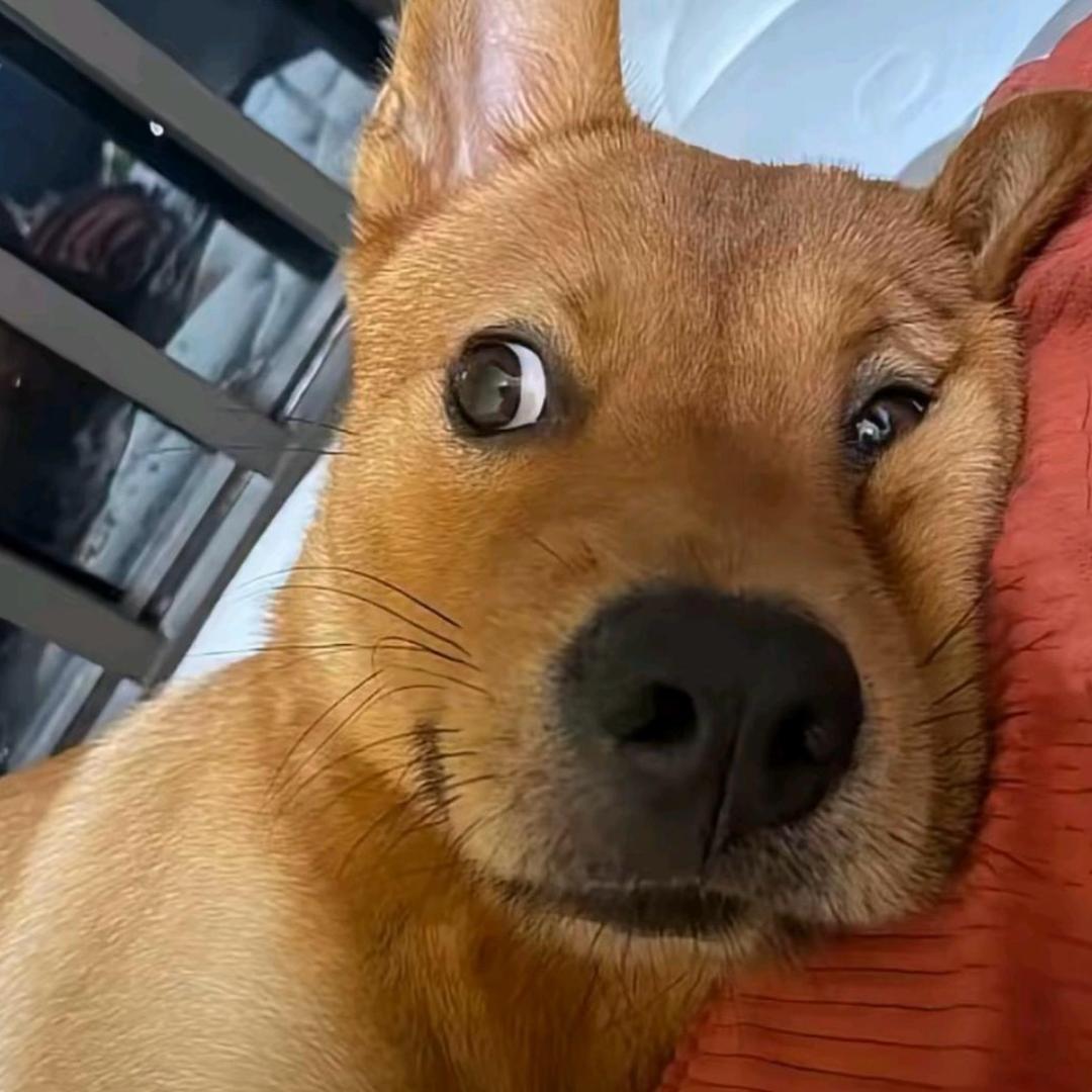 ….
