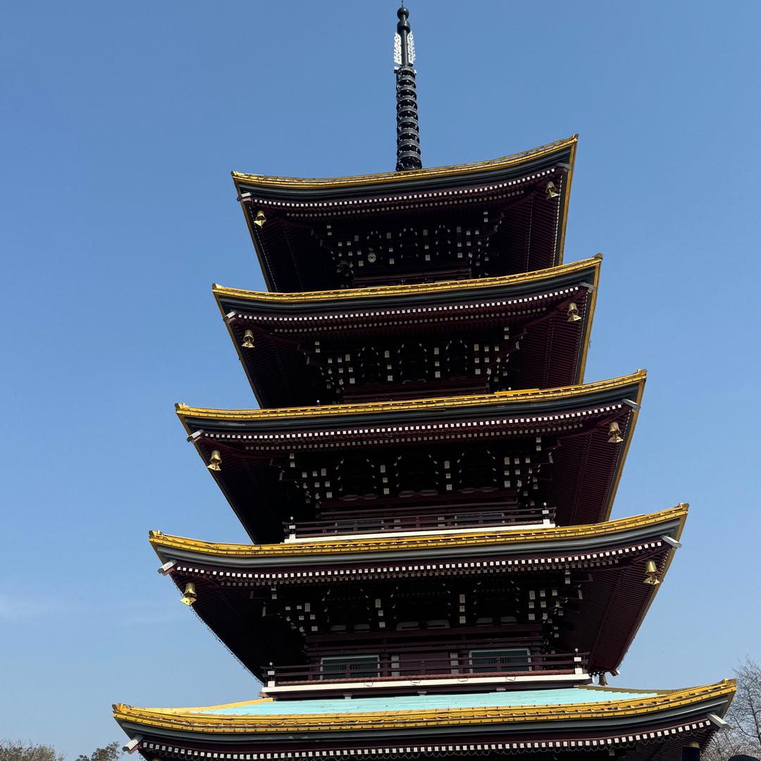 湖北建筑咨询