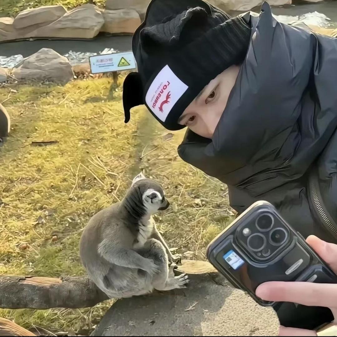 偷吃炸鸡被打成猪头