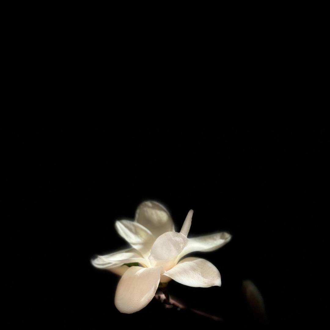 来杯热美式.