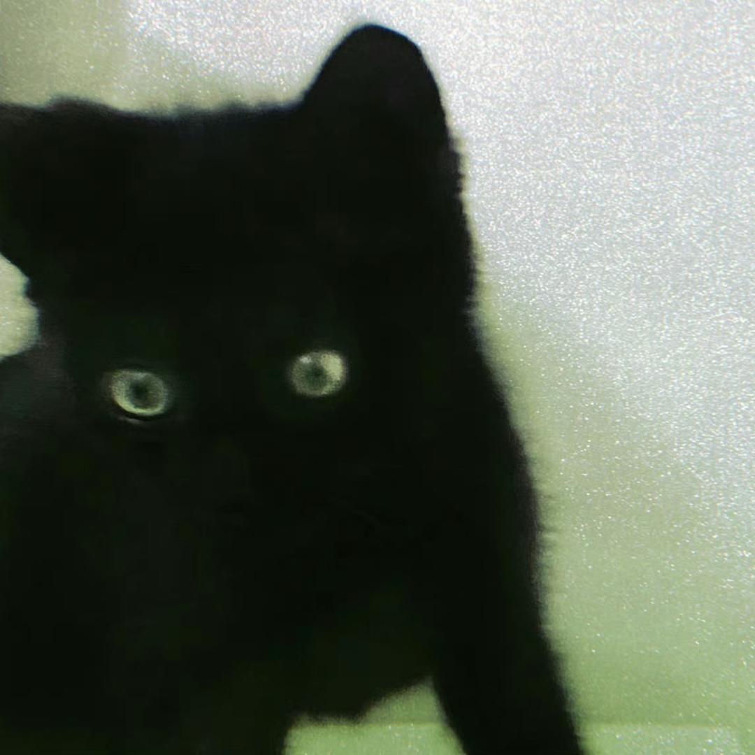 丝一丝瓜🍋‍🟩