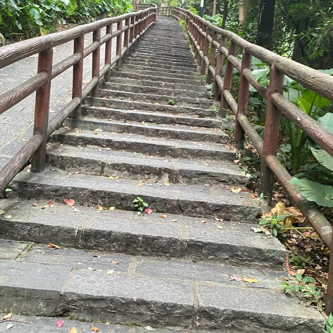 路上的风景🏃🏻‍➡️🏃‍♂️‍➡️
