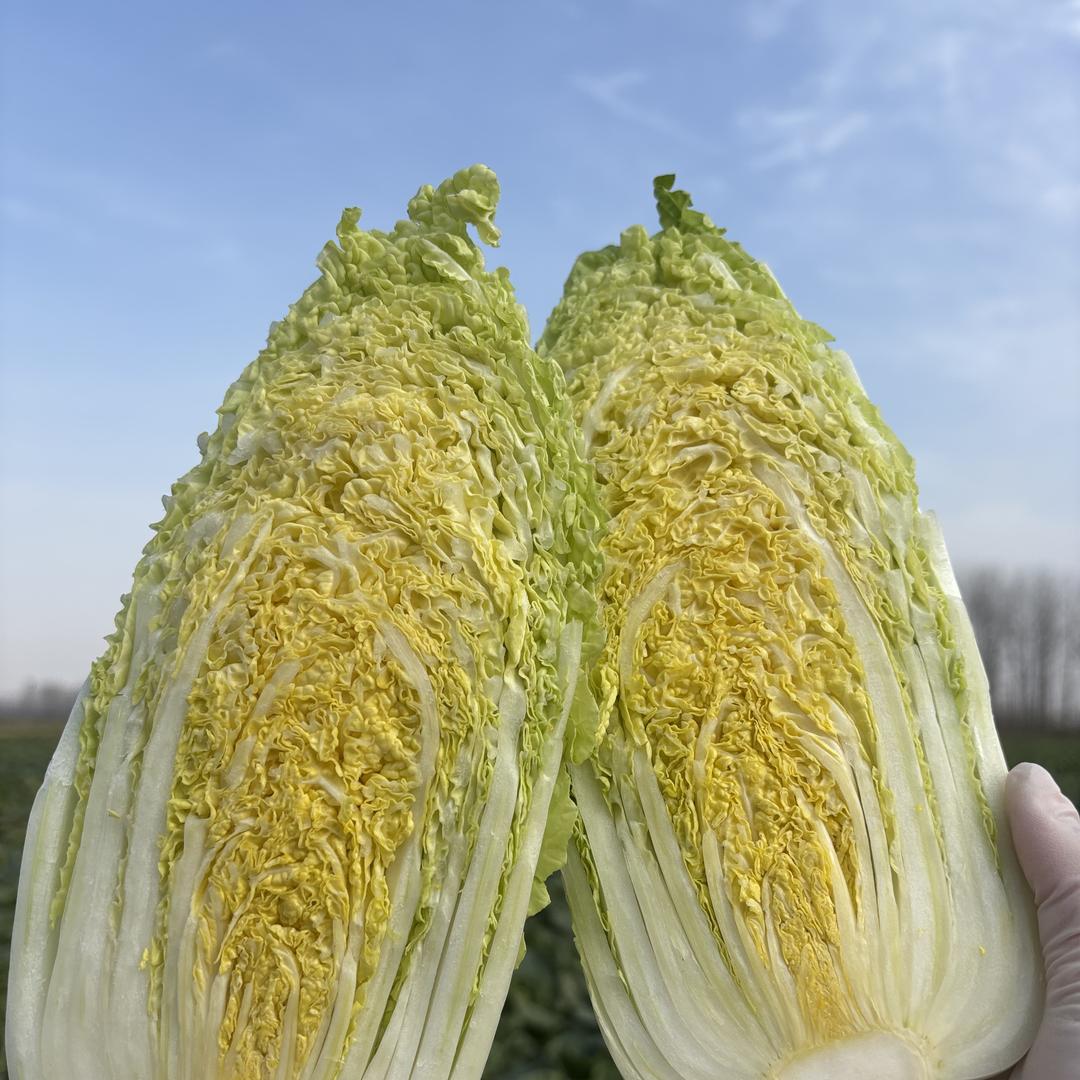 乡村果蔬供应链