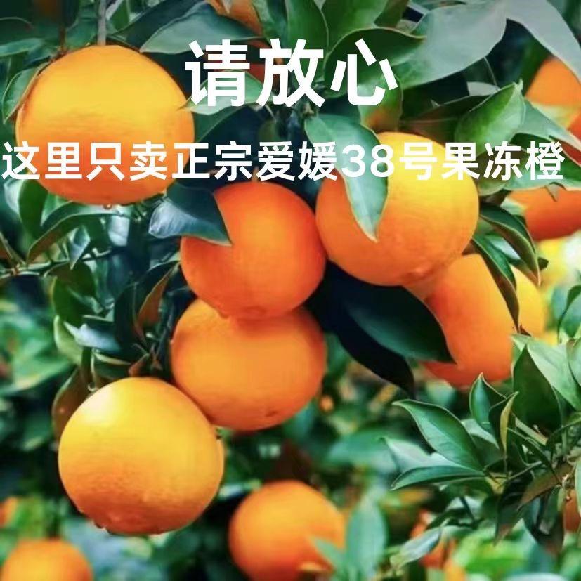金果篮水果供应链