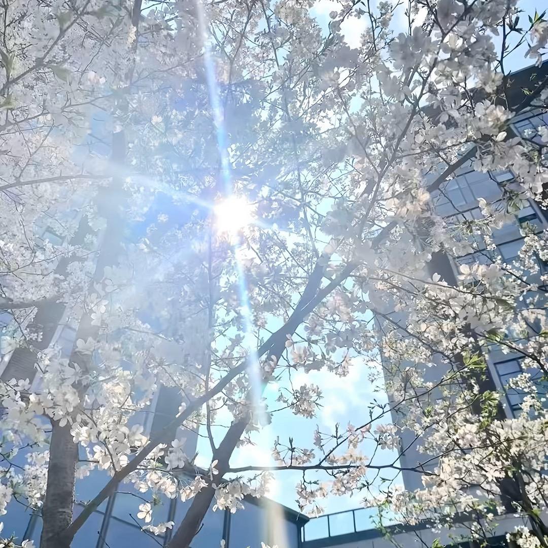 小金同学，✌️🤟