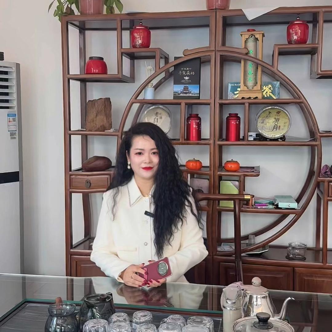 电视挂架厂家【静蕾】