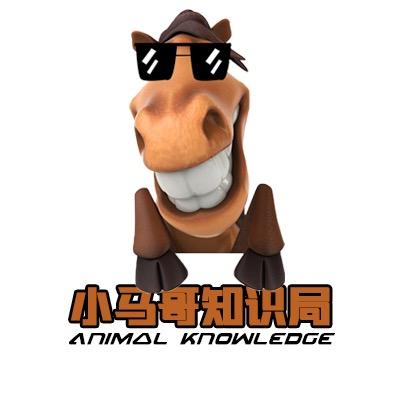 小马哥知识局@抖音