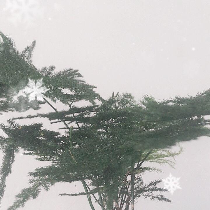 晴晴推荐好物