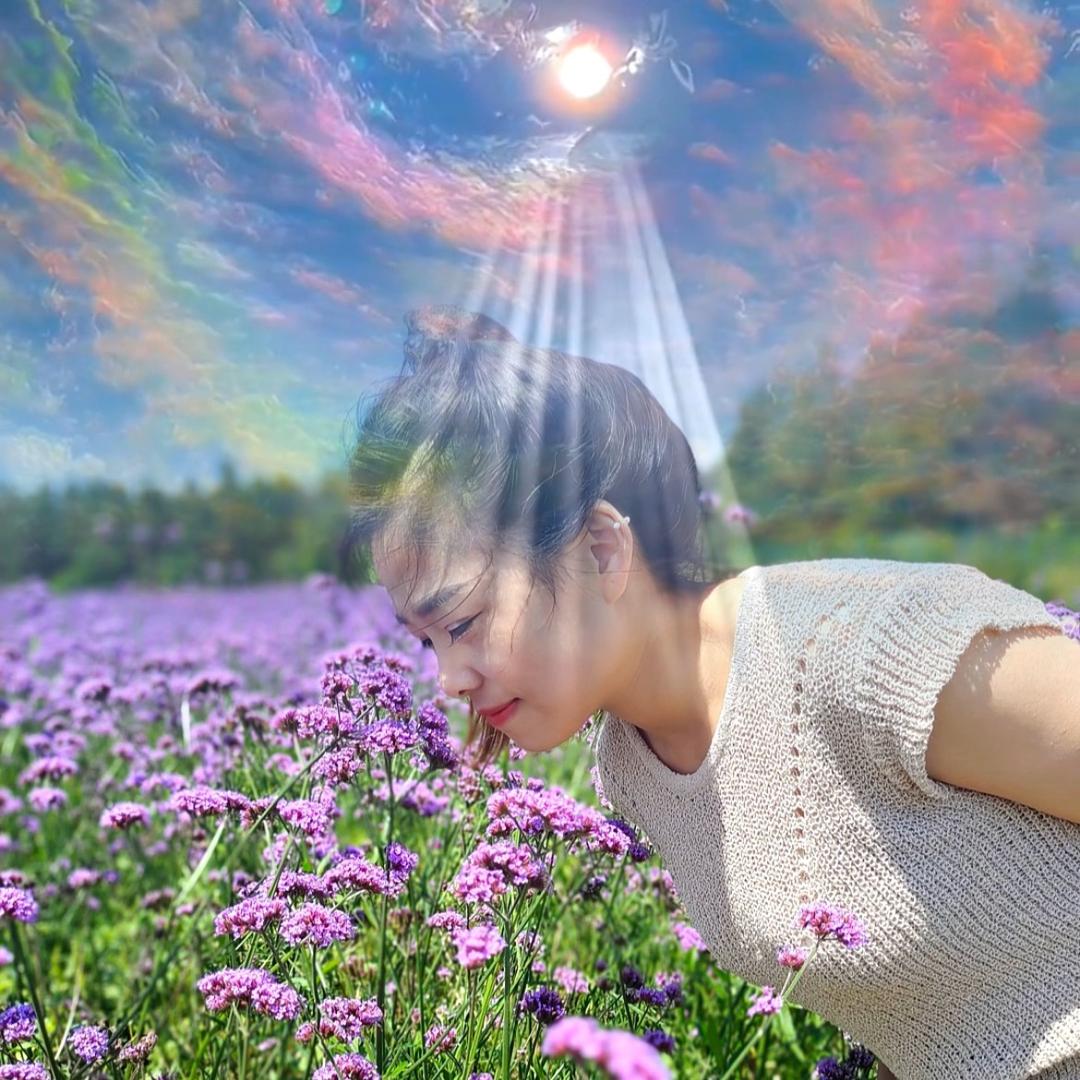 清茶