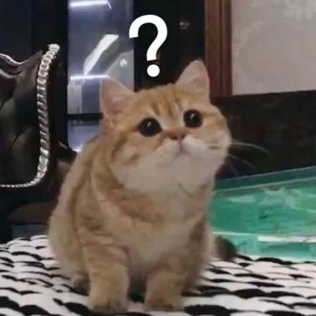 狗二蛋