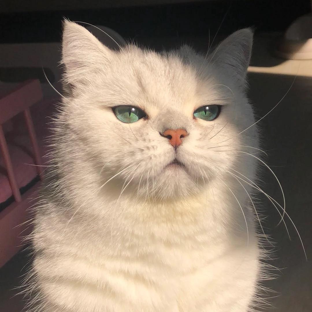 徐聪明