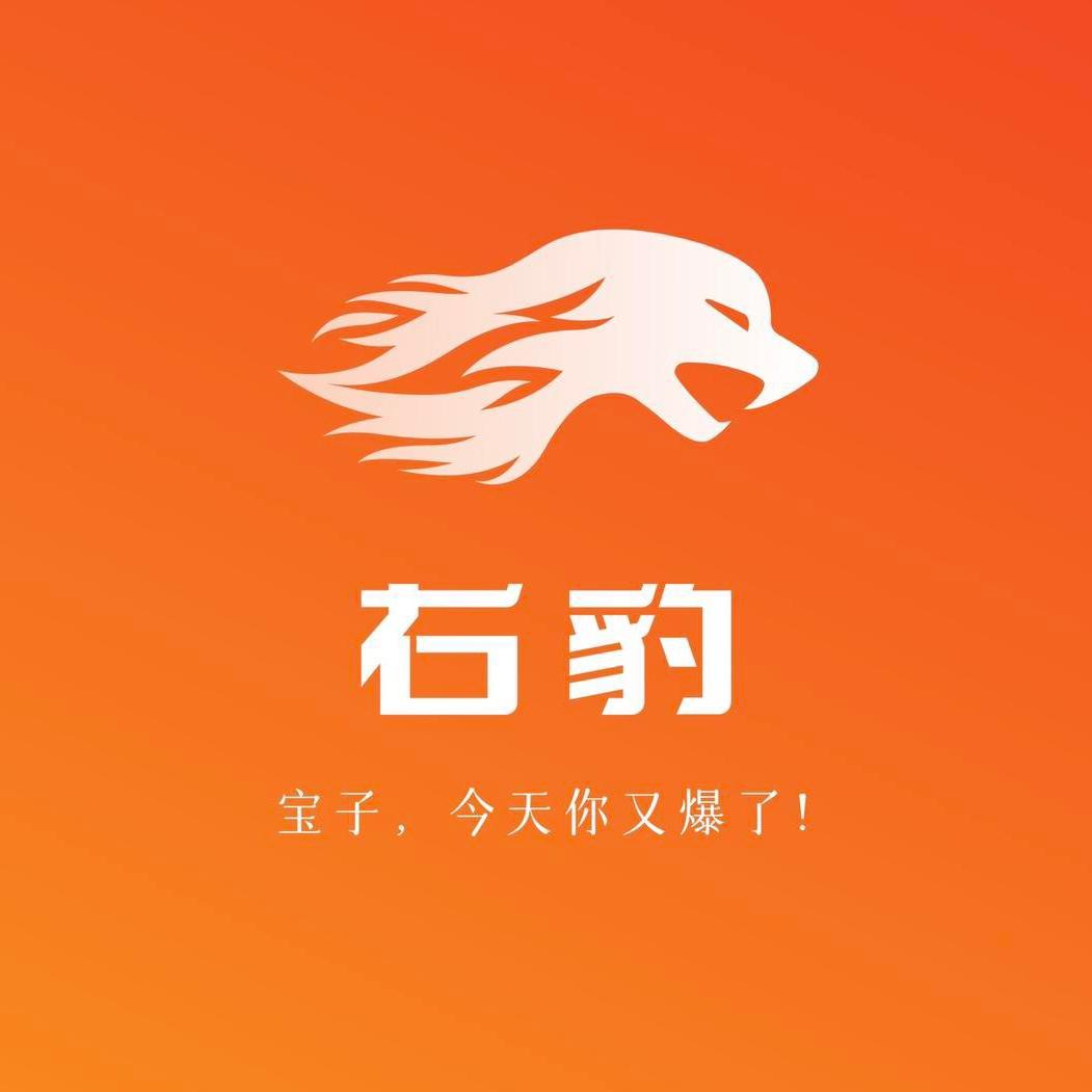 右豹小说推文