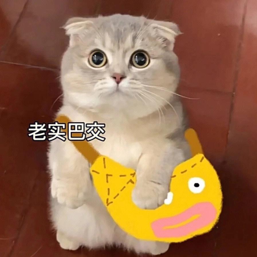 同学你好呀