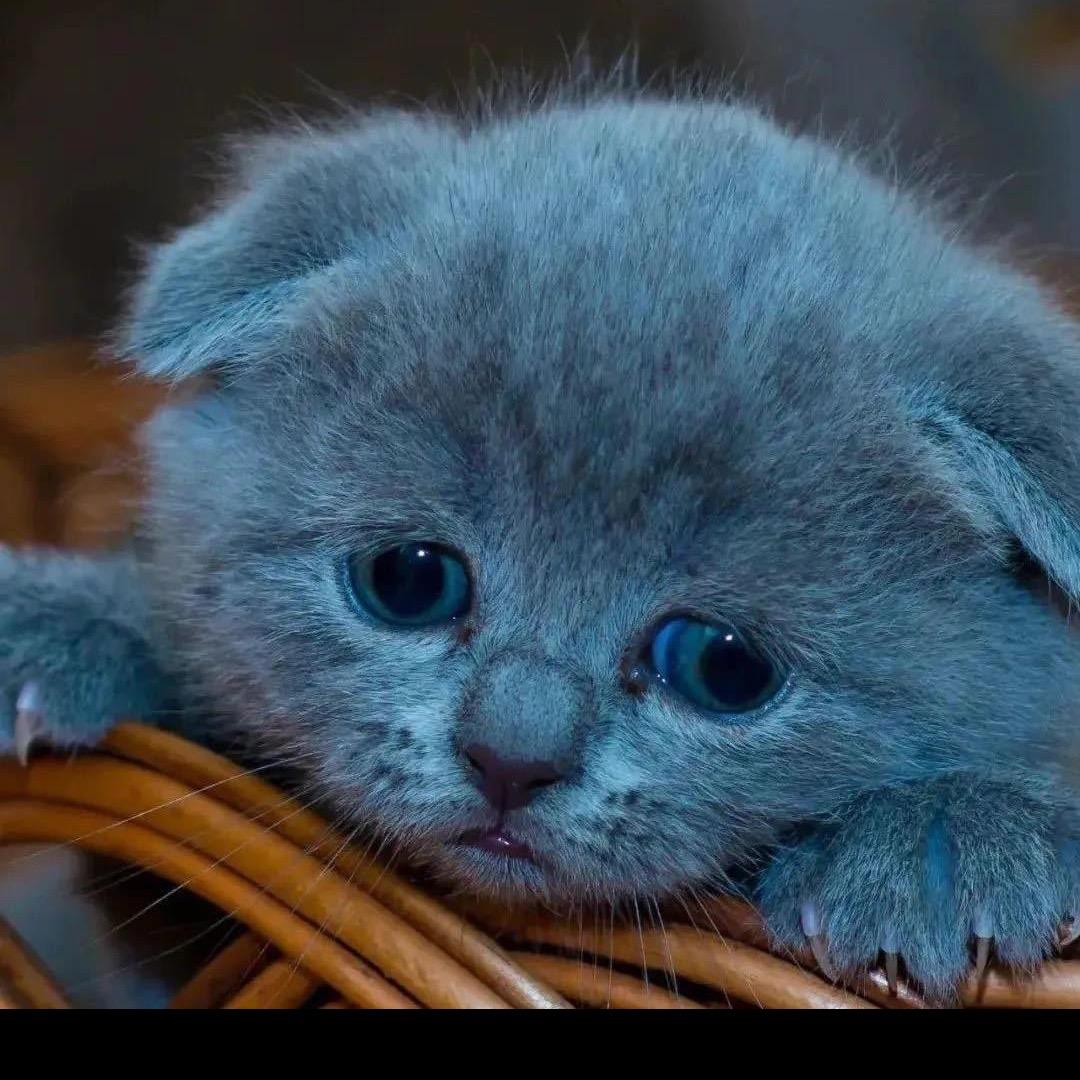 我等风雪又一年