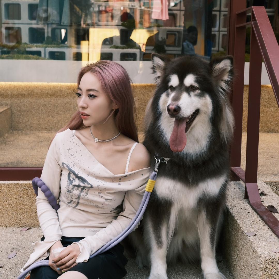 会发财的