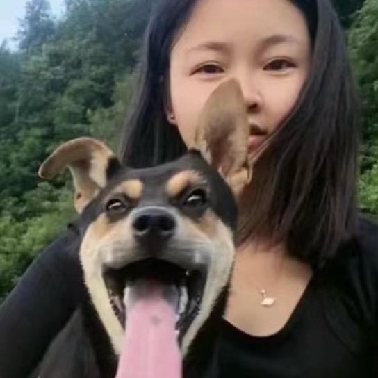 红太狼